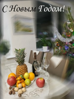 С Новым годом и Рождеством Христовым! С Новым годом и Рождеством Христовым!